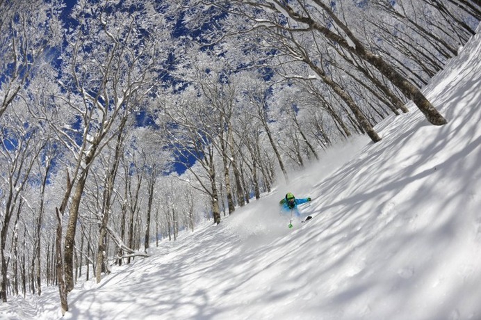 長野・白馬のスキー場がオープン間近…栂池高原、白馬乗鞍温泉、白馬コルチナ