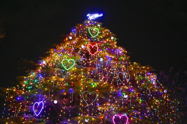 中山競馬場がクリスマスイルミネーション点灯式…本田望結とマギーが登場