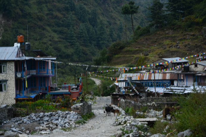 Nepal trekking