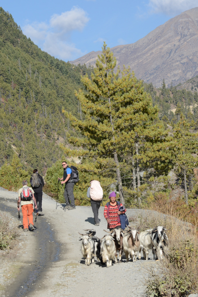 Nepal trekking