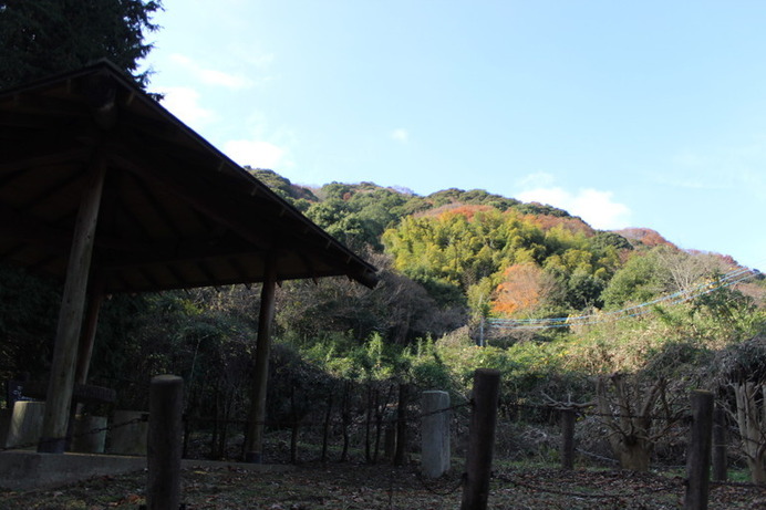 東屋と閑居山。