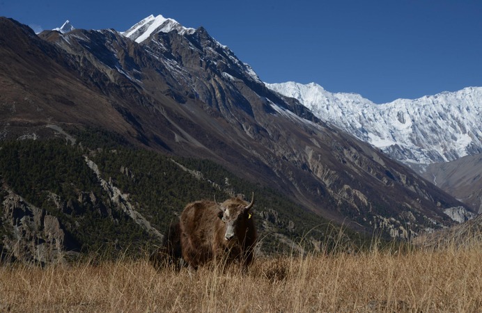 Nepal, Manang