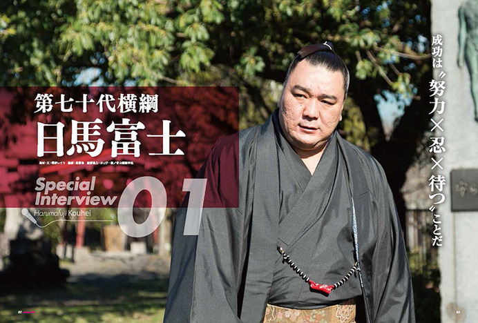 相撲がもっと面白くなる「大相撲ぴあ 平成二十八年度版」12月28日発売