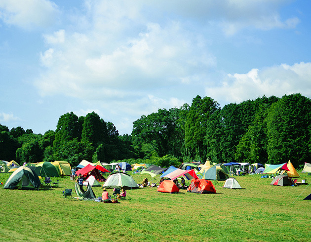 林道を抜けると、そこは広大なキャンプ場。牧草地ならではの広々とした空間で夏季限定のキャンプ・イベントを楽しもう。