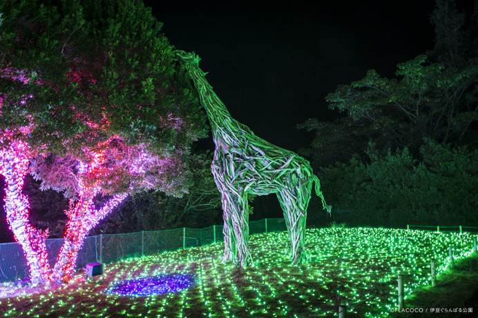 DDTプロレスリング、伊豆ぐらんぱる公園で「ドラマティック・グランイルミ！」を開催