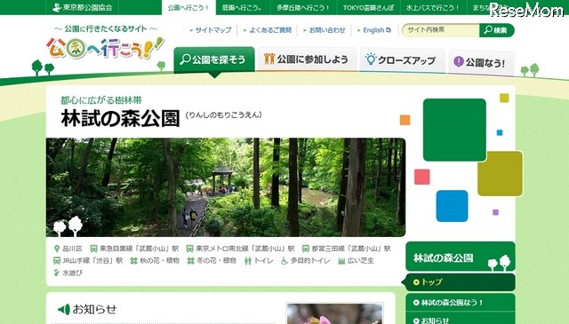 東京都公園協会「公園へ行こう！」 林試の森公園