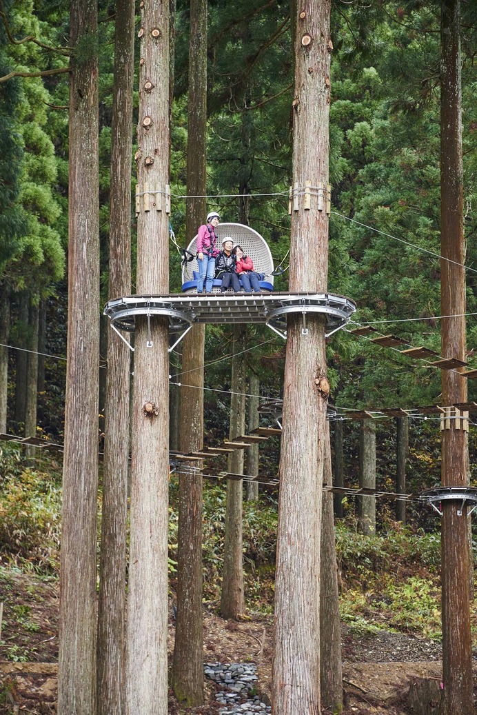 福井県に日本最大級の冒険の森誕生「ツリーピクニックアドベンチャーいけだ」4月オープン