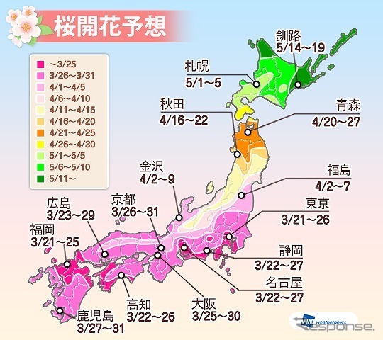 第3回桜開花予想