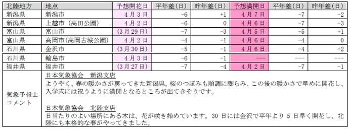 桜開花予想、関東以西で桜が満開に…日本気象協会