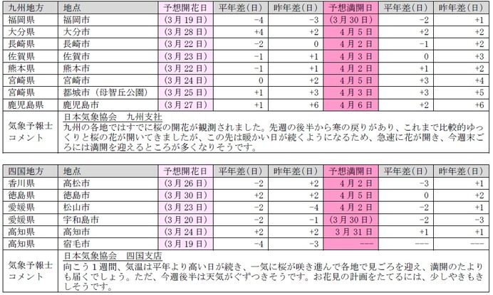 桜開花予想、関東以西で桜が満開に…日本気象協会