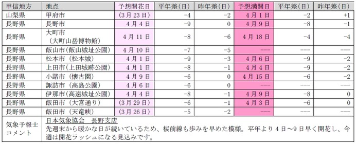 桜開花予想、関東以西で桜が満開に…日本気象協会