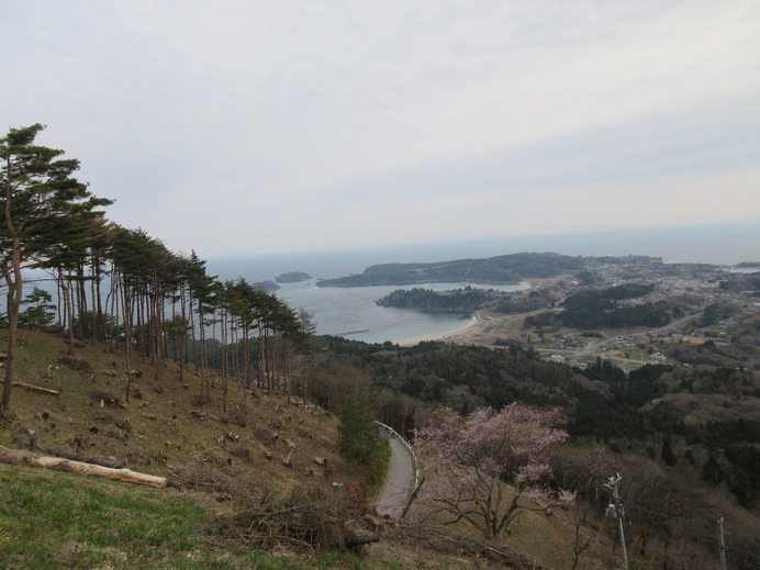 東日本大震災の被災地から九州にエール…気仙沼大島つばきマラソンの参加者