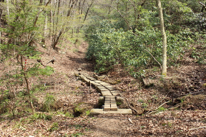 登山スタート！