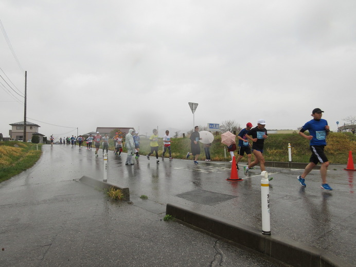 風雨に負けずにランニング愛好家が奮闘…気仙沼大島つばきマラソン