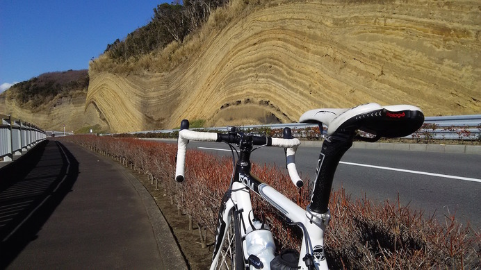 元町から南に向かい、島の南側にある千波に行くとみごとな地層断面が見られる