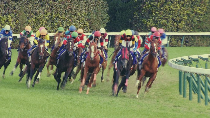 清野菜名が競馬好き女子「UMAJO」に…JRAが動画公開