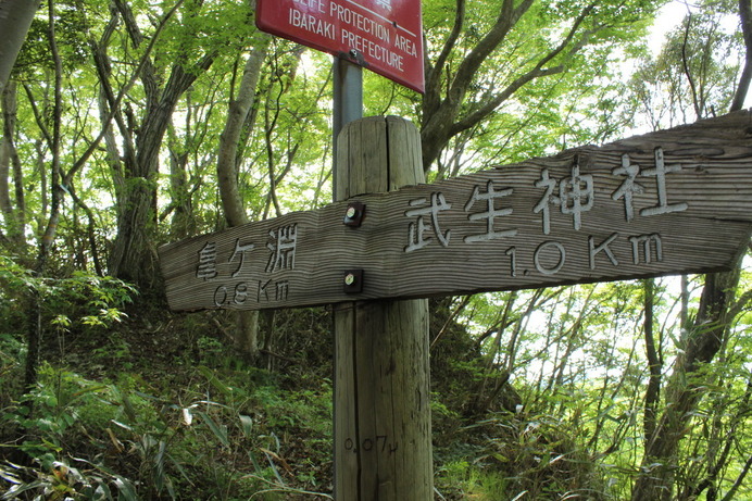 茨城県の武生山から亀ヶ淵へ続く道にある分岐点。ここからドラマが始まった……。