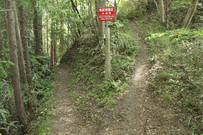 右に行くと亀ヶ淵山（烏帽子岩）。標高340mだが、なかなか険しい。左に行くと、亀ヶ淵。