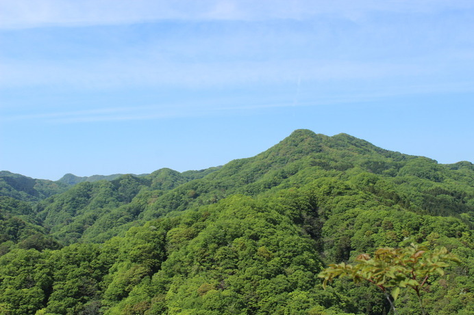 亀ヶ淵山からの景色。中武生。