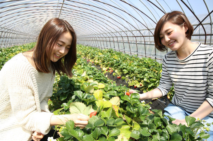 茨城県でサイクリングプログラム事業「かすみがうら未来づくりカンパニー」設立