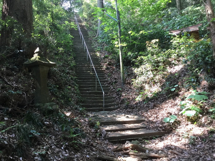 緑と古さがほどよくマッチしていて、雰囲気がよかった