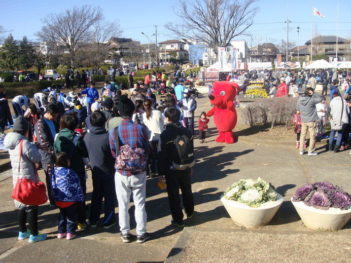 松戸市七草マラソン大会、2015年の様子