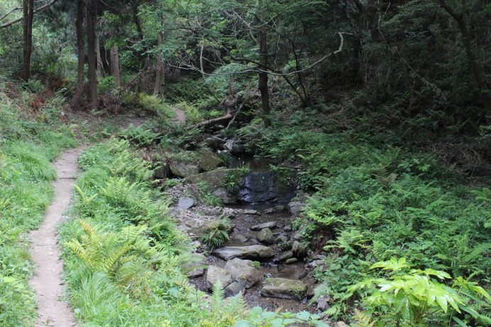 常願寺コース序盤にある「沢の小道」。