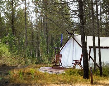 Glacier Under Canvas