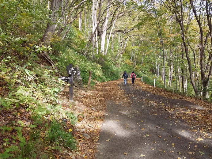 一ノ倉沢に向かう散策路。道路左の案内標識から西黒尾根の上りが始まる