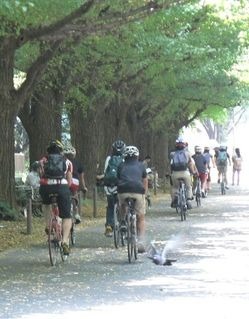 　のんびりと自転車散歩を楽しむ「みんなで楽しくポタリング」が11月21日に東京都渋谷区のサイクルスクエア北参道で行なわれる。現在、参加者を募集している。締め切りは19日。