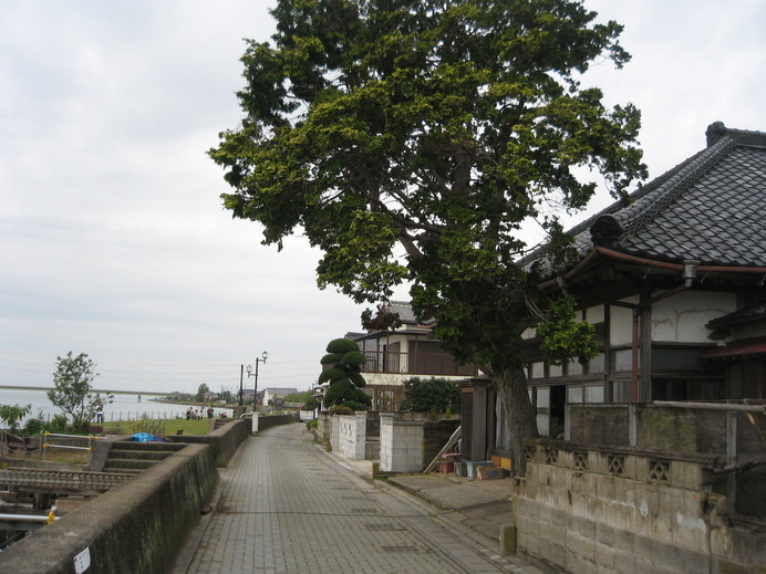 利根川沿いのルート