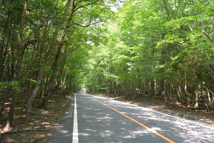 リンケージサイクリングの富士山ツアー