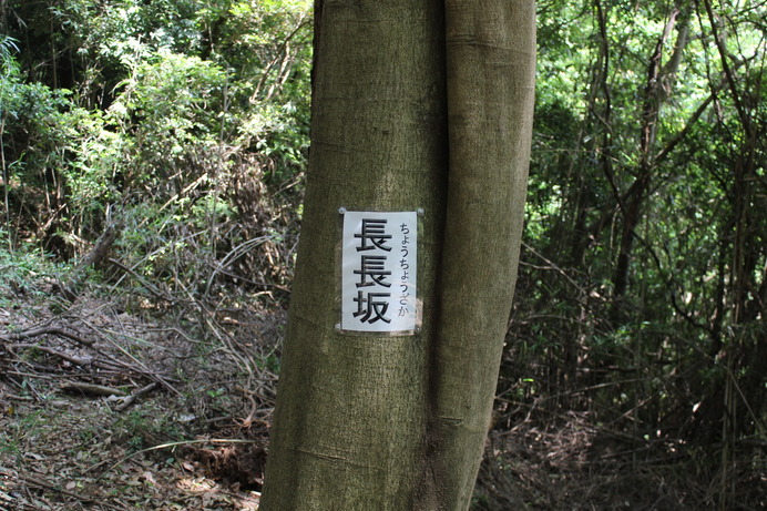 長長坂の張り紙。今回の登山で初めて見た張り紙。前に（一年くらい前）登った時はなかったような。今までこの坂に名前があるとは知らなかった。