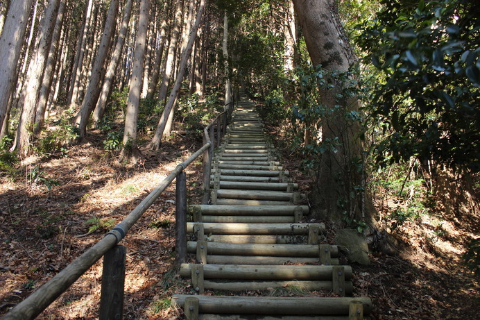 仏頂山の山頂間近の階段。恐怖の急勾配