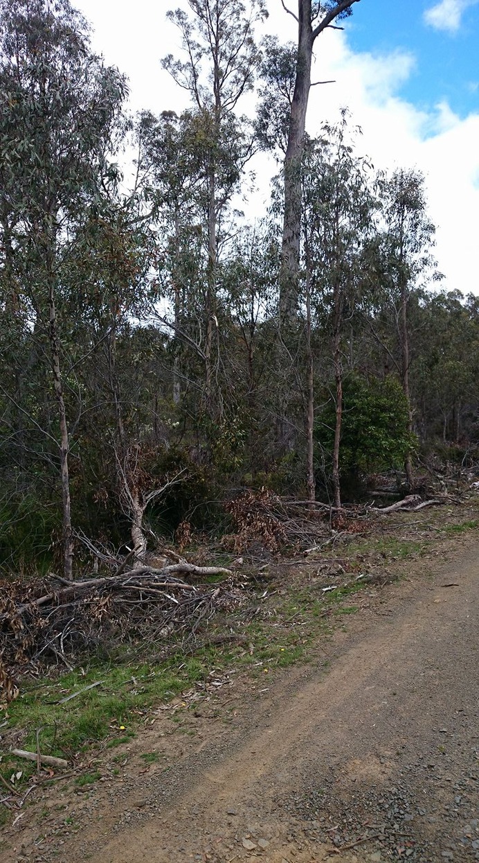 Tasmania