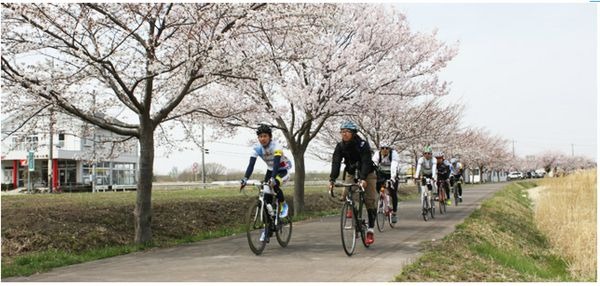 国際興業トラベルが運行する「サイクリングバスツアー」は景色のよい場所だけサイクリングを楽しむことで人気