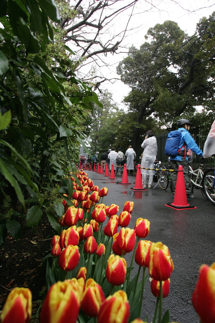 オランダとベルギーの大使館をつなぐサイクリングイベントに参加した自転車愛好家