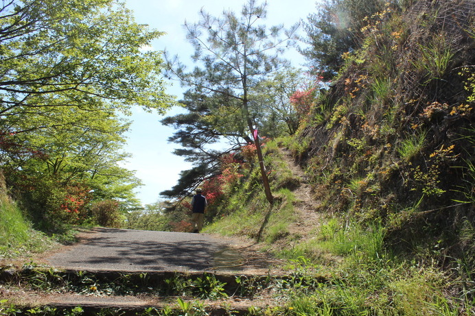 【小さな山旅】矢祭山の登り方…福島県・矢祭山（2）