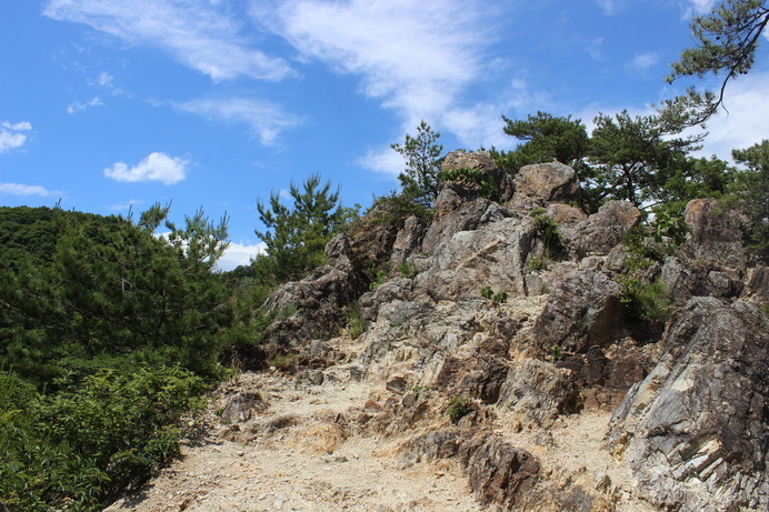 高山ほど危険はなく、低山で高山感が味わえる。