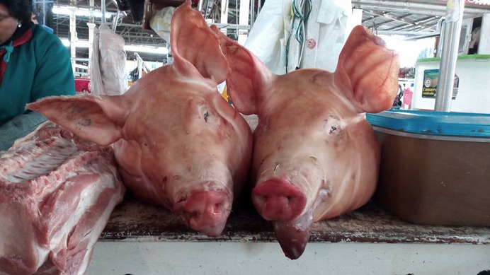 オビナタの世界放浪記 まるで 千と千尋の神隠し 豚の首がドンと置かれた南米の市場で思うこと 2枚目の写真 画像 Cycle やわらかスポーツ情報サイト