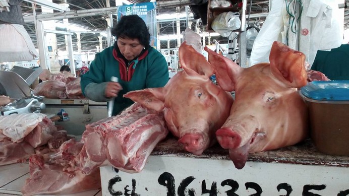 南米の市場には、生き物が生々しく売られていることが多い。豚の首などがそのままドン！と置かれているさまは、「千と千尋の神隠し」のあるシーンを彷彿とさせる。ちなみに写真の豚首は、ペルー、「クスコ」の市場だ。