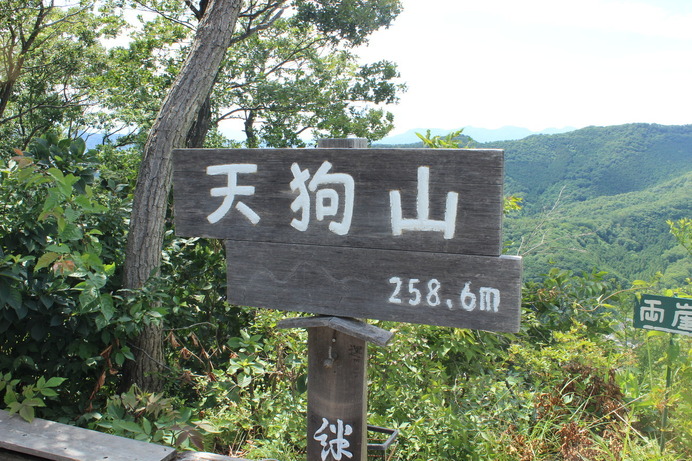 栃木県足利市にある天狗山。