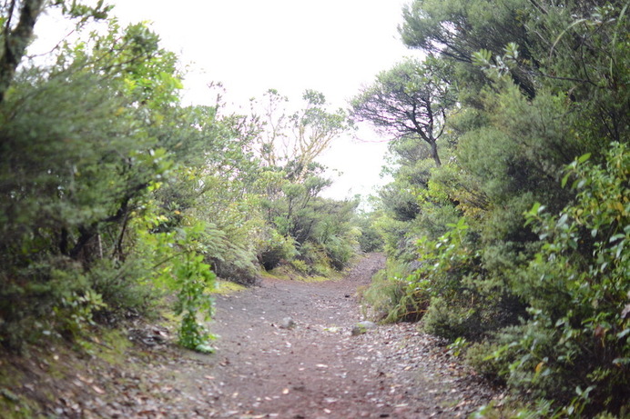 ランギトト島