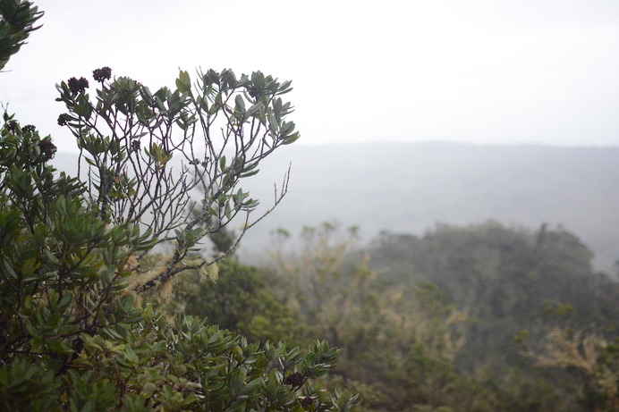 ランギトト島