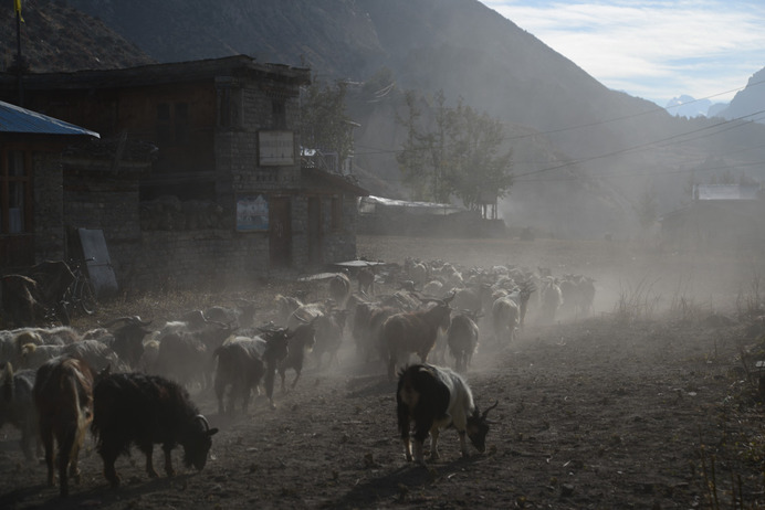 Nepal day 8/9