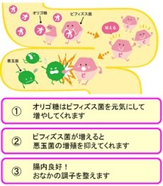 味の素　パルスイート ビオリゴ