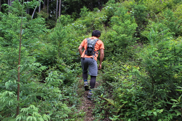 林道から登山道へ。かなりわかりにくい。ちょっと急な斜面。登り慣れている山本さんはすいすいと進んでいく。