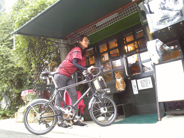 　関東エリアのキオスクやコンビニなどで買える東京中日スポーツ（中日新聞東京本社）が毎週水曜日に掲載する「自転車で行こう！」。毎週テーマを変えて、さまざまな自転車情報を紹介していくカラー面で、11月17日発売の紙面では、下町のネコを訪ねるサイクリングを紹介