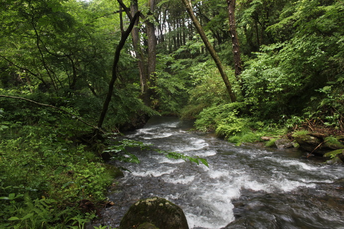 関東ふれあいの道沿いに流れる川。マイナスイオンを身体いっぱいに浴びる。