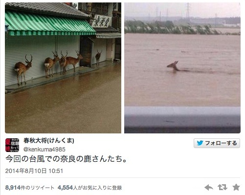 【台風11号】Twitterで被害状況が続々、引き続き厳重な警戒必要